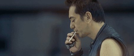 汽车环保标志能办假的吗